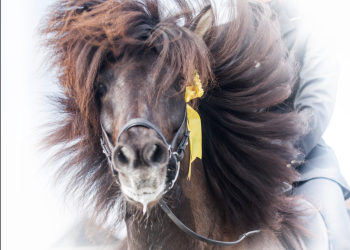 31714850_1227061020761250_7436370242458091520_n