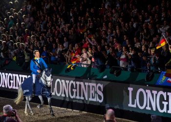 32940235648_c9eceeb166_k