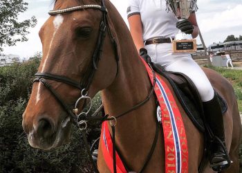 34861615_10161229303645377_7184275354607943680_n