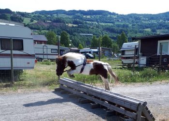 34984276_10155406981606781_4236497951989432320_n