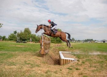 37706921_10212515312294163_8054032908089819136_n