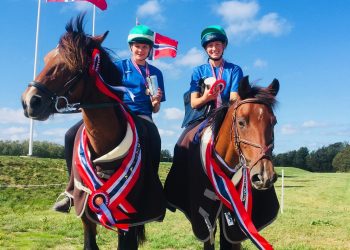 40654872_2222866454390058_4583324347917139968_o