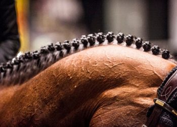 43733121-2346704072010717-1721160134727565312-n_2