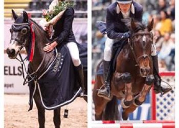 44121594_2170560056531458_1189394603107680256_n