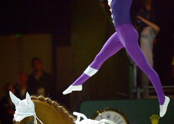 Alltech FEI World Equestrian Games 2014