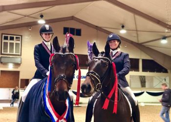 45419378_557190138056987_6305086551160258560_n