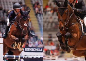 45801813_253966272138077_1270151769367773184_n