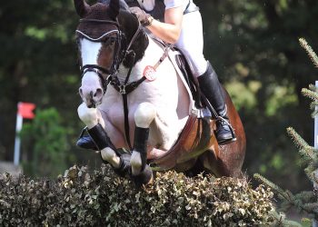 47a-16_photo_ruchel_frikjoept