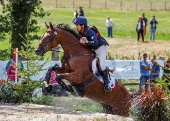 48504531322_d0a5f754e6_k