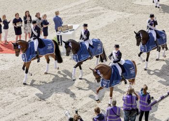 48585013416_bda1ee47ef_z