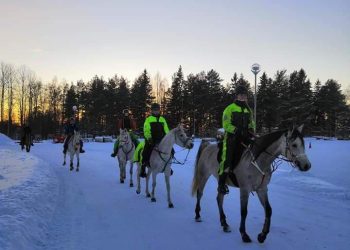 50314698_382494395630104_8392896864147472384_n