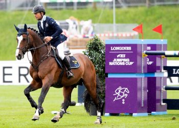 51230060620_3588933ba5_k