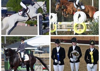 55920889_410851469731988_4649430796615024640_n