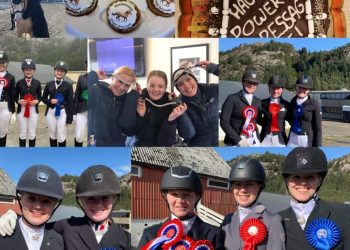 56252804_1137764273050680_6296476215473602560_n