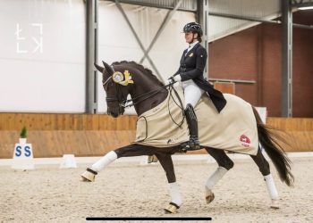 56567296_554574605063728_6514160748766167040_n