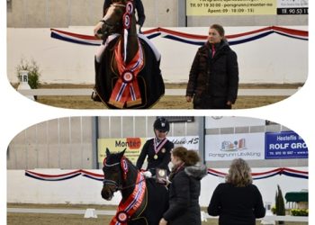 56980704_331128244193521_8037405483369234432_n