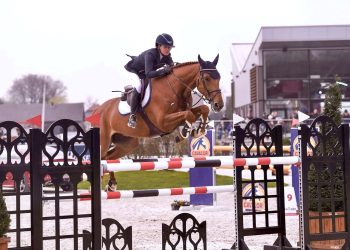 57170754_2365745780336681_750361499922333696_n