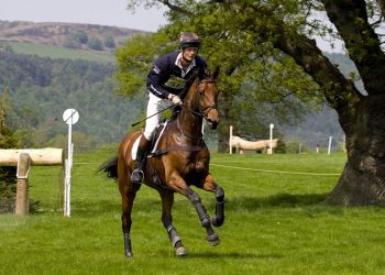 582_william_fox-pitt_onseacookie