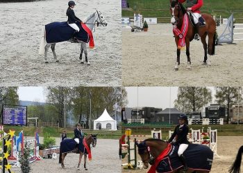 58772256_451192875626804_2079014529202651136_n