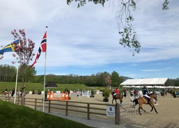 60281712_2500731279951075_2935125558540894208_o