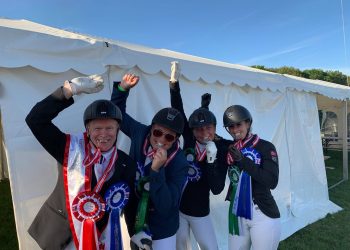 64784414_408969793294095_2225875958022275072_n