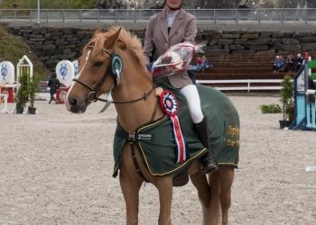 65476969_2361832937232073_3685069433023234048_n_1