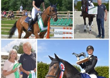 65593663_2330859707167666_1841771981859454976_n