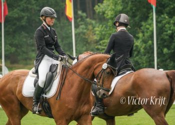 66599642_2326034844382518_5585994384542793728_n