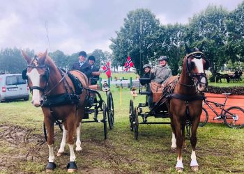 68439054_10157913302645639_5137789902682849280_o