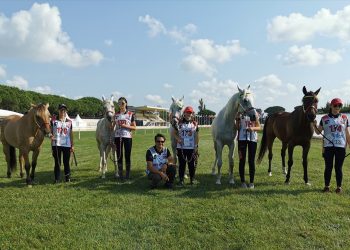 70938655_3409557045728690_7350231580960358400_o