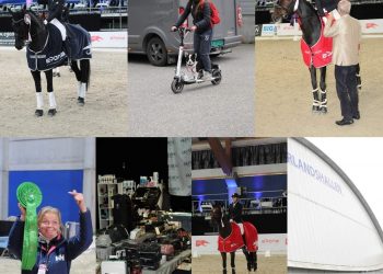 71952211_507537870081366_354074041570557952_n