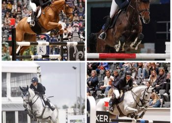 78122096_762116197636040_8632634199079124992_n