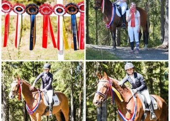 79418237_176076507172556_2674980171106222080_n