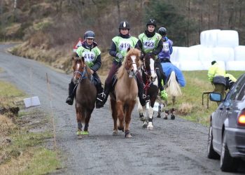 80114345_609752129566815_7518061800328265728_n