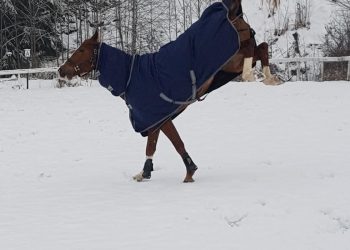 80189531_10157620223135309_1134396292751949824_o