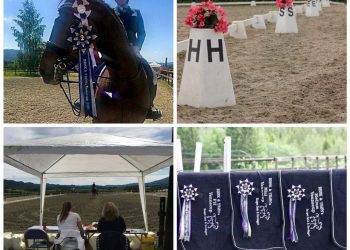 82555401_746050049535716_1025711927615918951_n