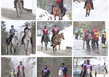 88071779_503998896831247_4805760480838680576_n