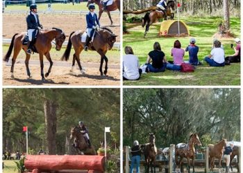 88241846_238310447331019_1264469841167777792_n