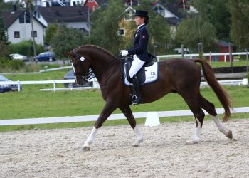a_g_andresen_belamour_2