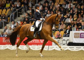 adelinde_cornelissen