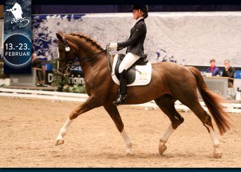 alexandra_andresen_og_belamour__foto__ingvild_surdal