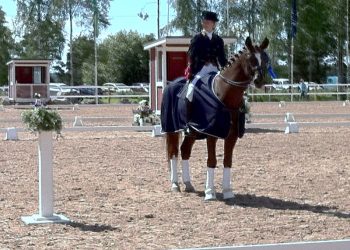 alexandra_nordisk_gull