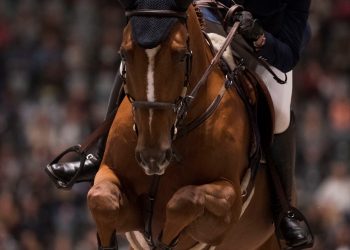 algorhythem_marie_logem_s8i7934_1