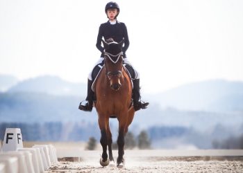 alise_og_affe_l-dressur_mai_17