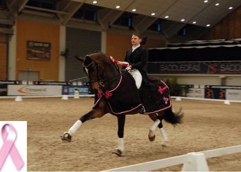 allan-skov-1plass-11