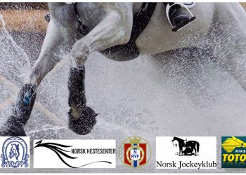 alle_hestesorganisasjoner