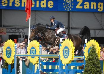 FEI World Breeding Jumping Championships for Young Horses in Lanaken, Belgium 2013