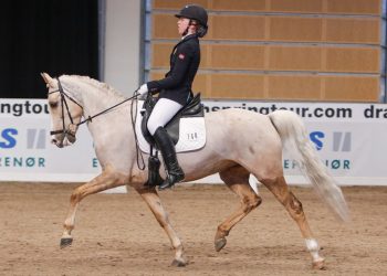 alma_loevaas_sandvik-3_l