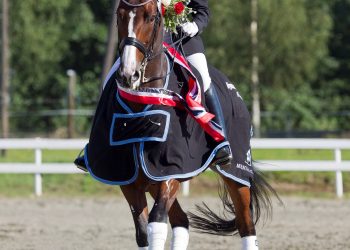amazing_s°ndergord_kamilla_str°msnes_d9d9565