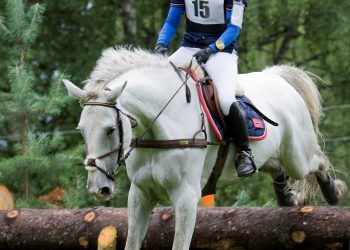 amichella_caroline_olsen_30h7661_1